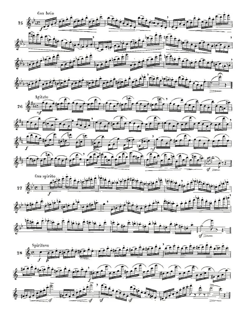 moyse - 100首练习曲之15—28