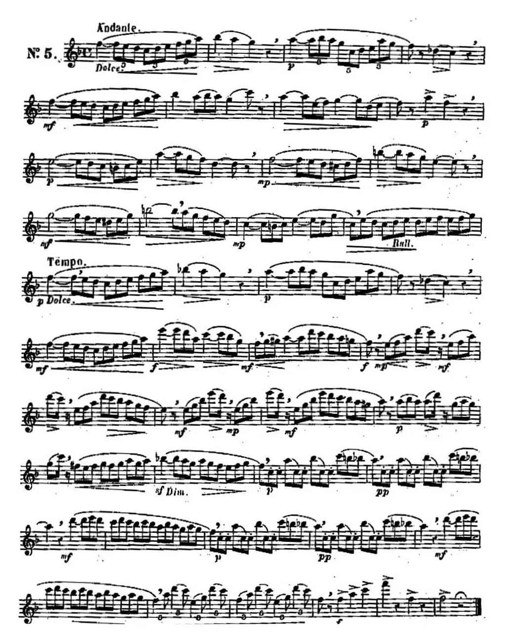 二十首练习曲作品131号（NO.5）