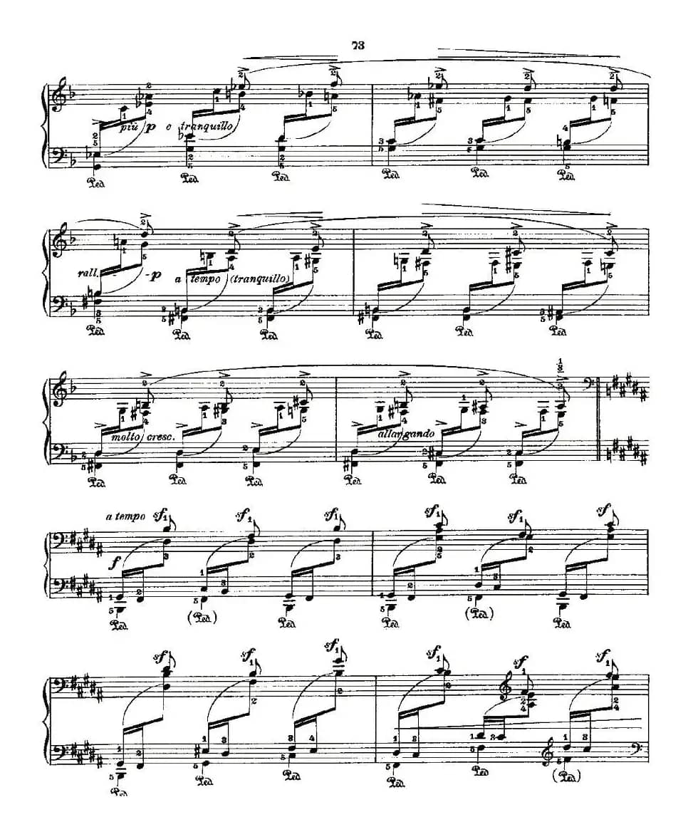 肖邦《练习曲》Fr.Chopin Op.25 No3-2