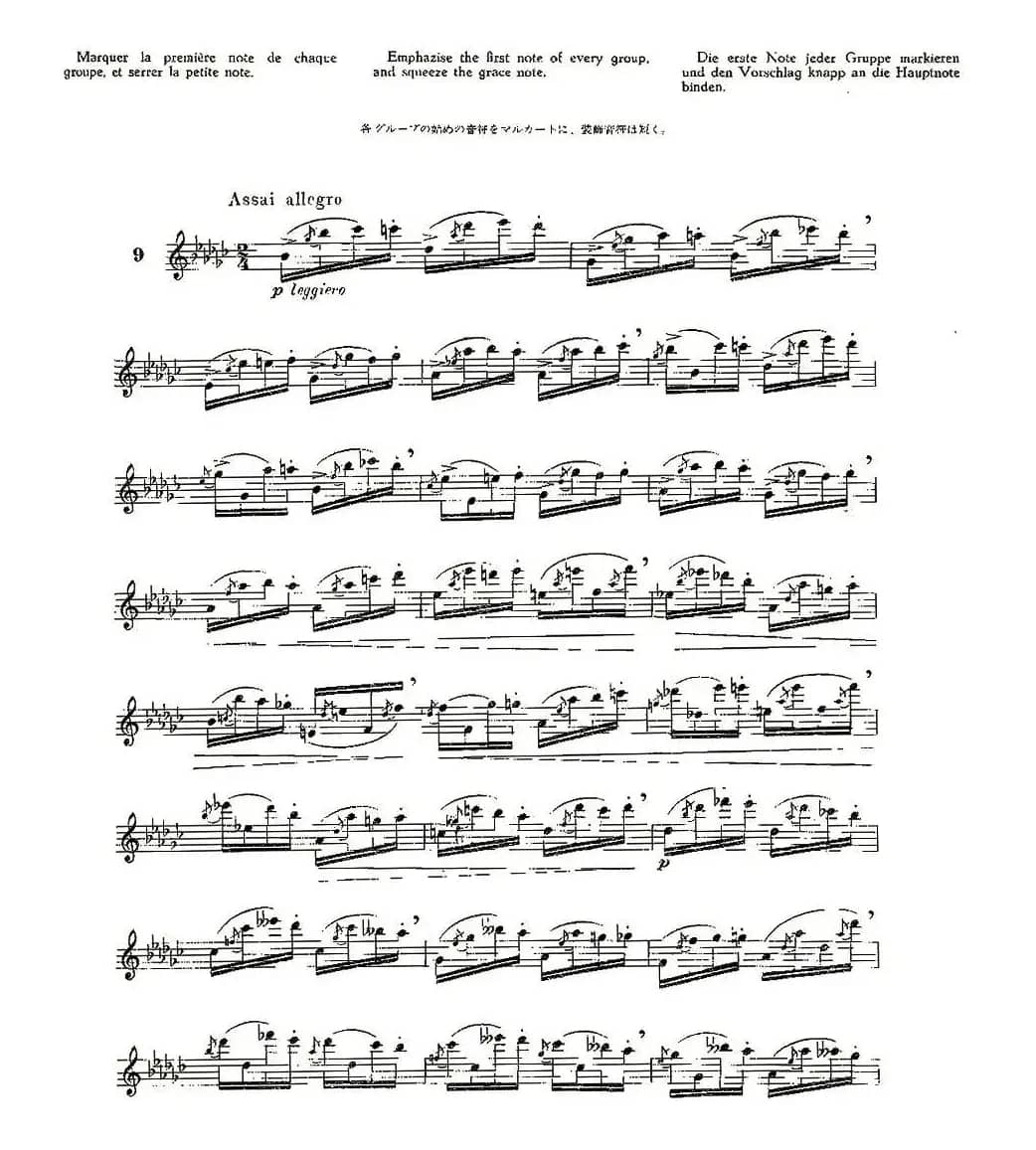 12首大技巧练习曲之9