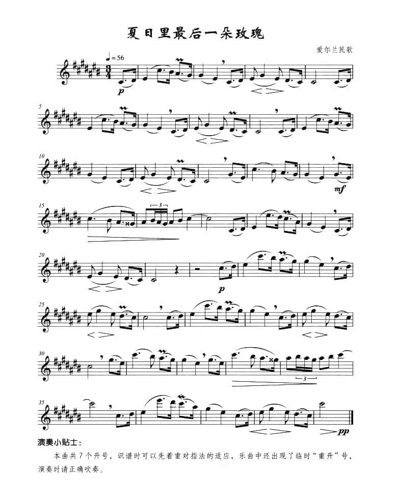 夏日里最后一朵玫瑰