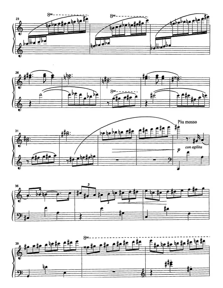 克劳斯的鸟（雨燕）