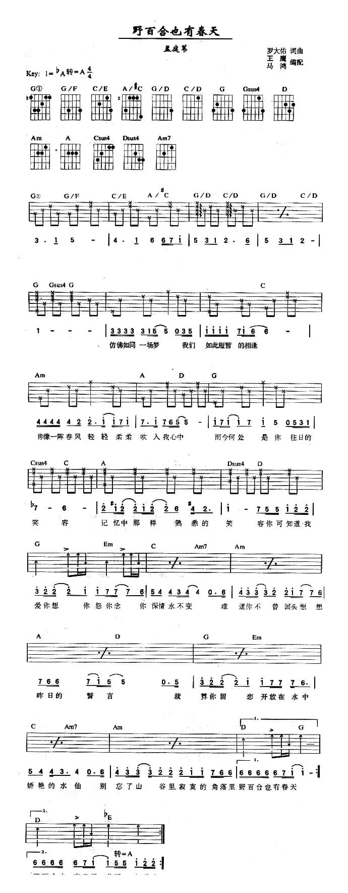 野百合也有春天（王鹰编配版）