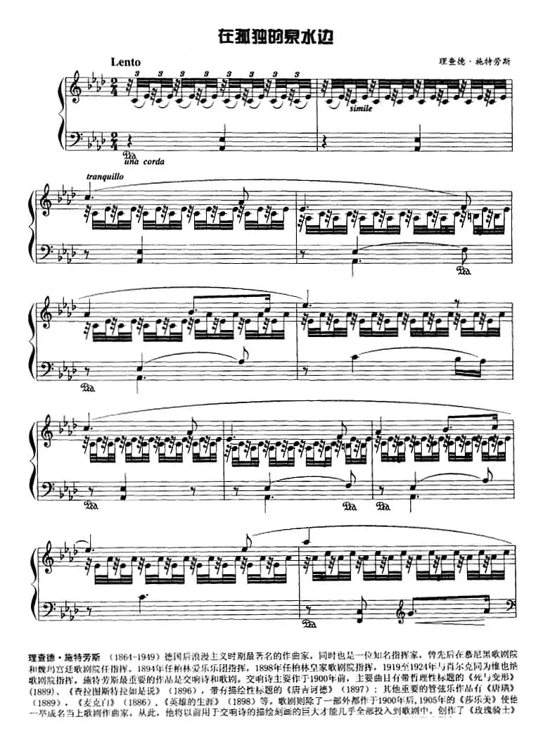 现代钢琴曲：16、在孤独的泉水边