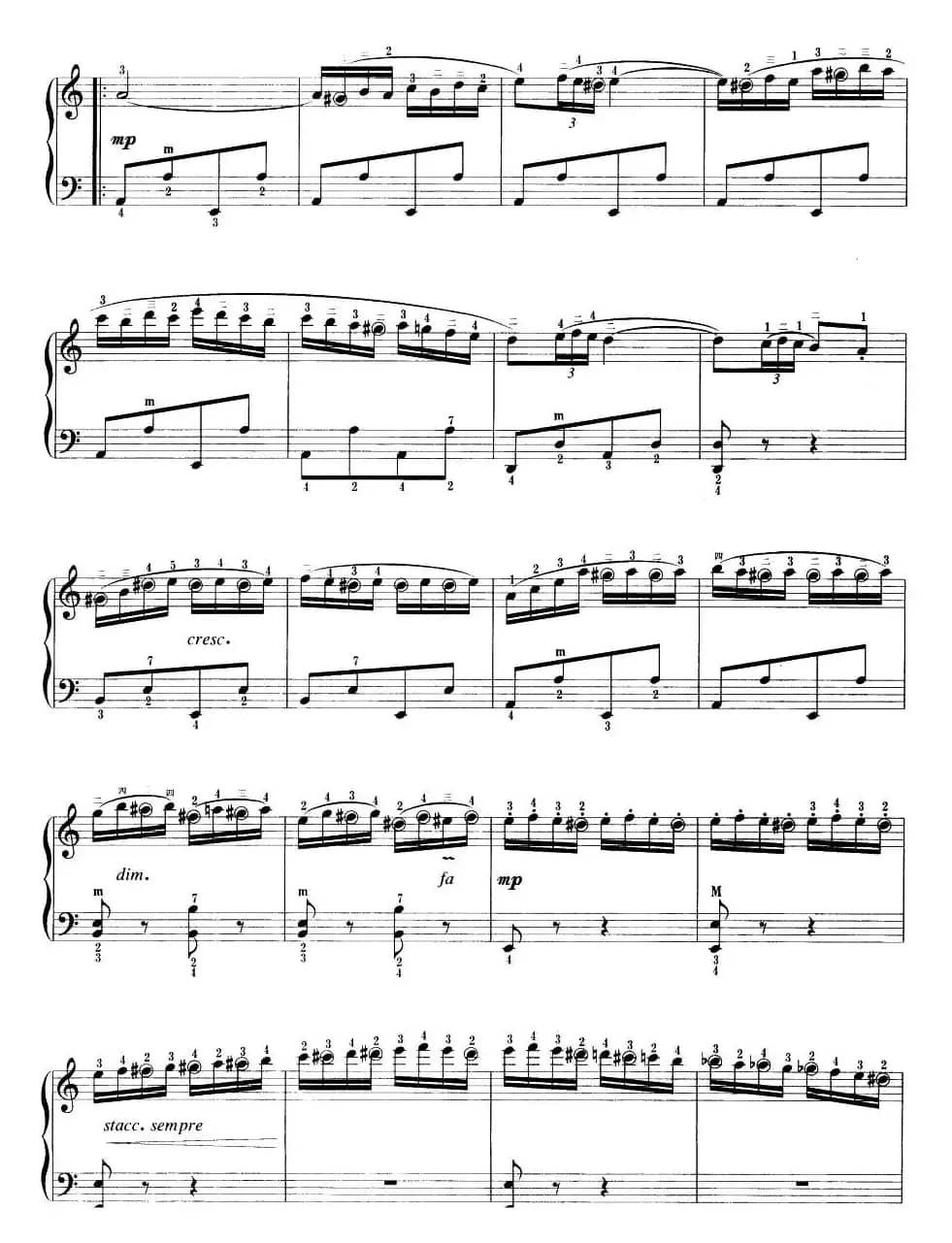 快乐的西班牙骑士