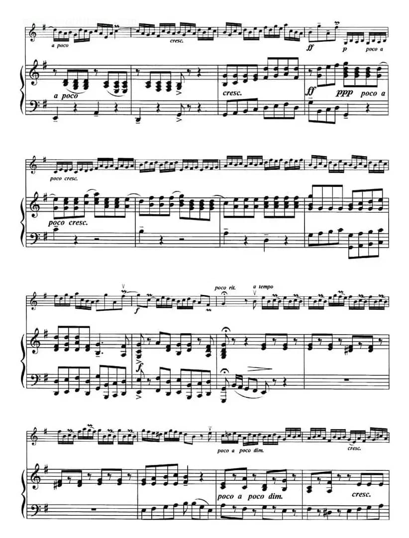 Allegro（快板、小提琴+钢琴伴奏）