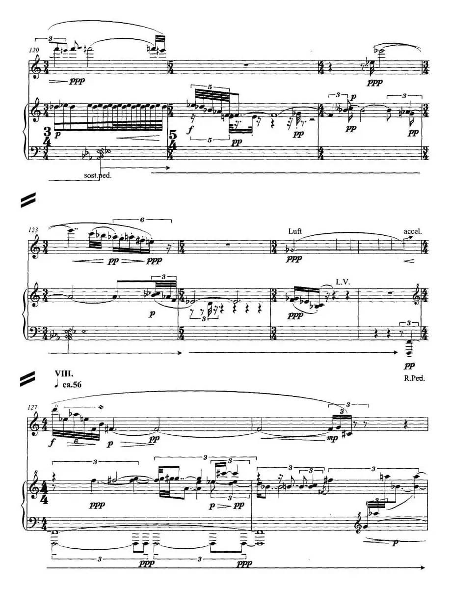 翔舞于无极之野（竹笛+钢琴）