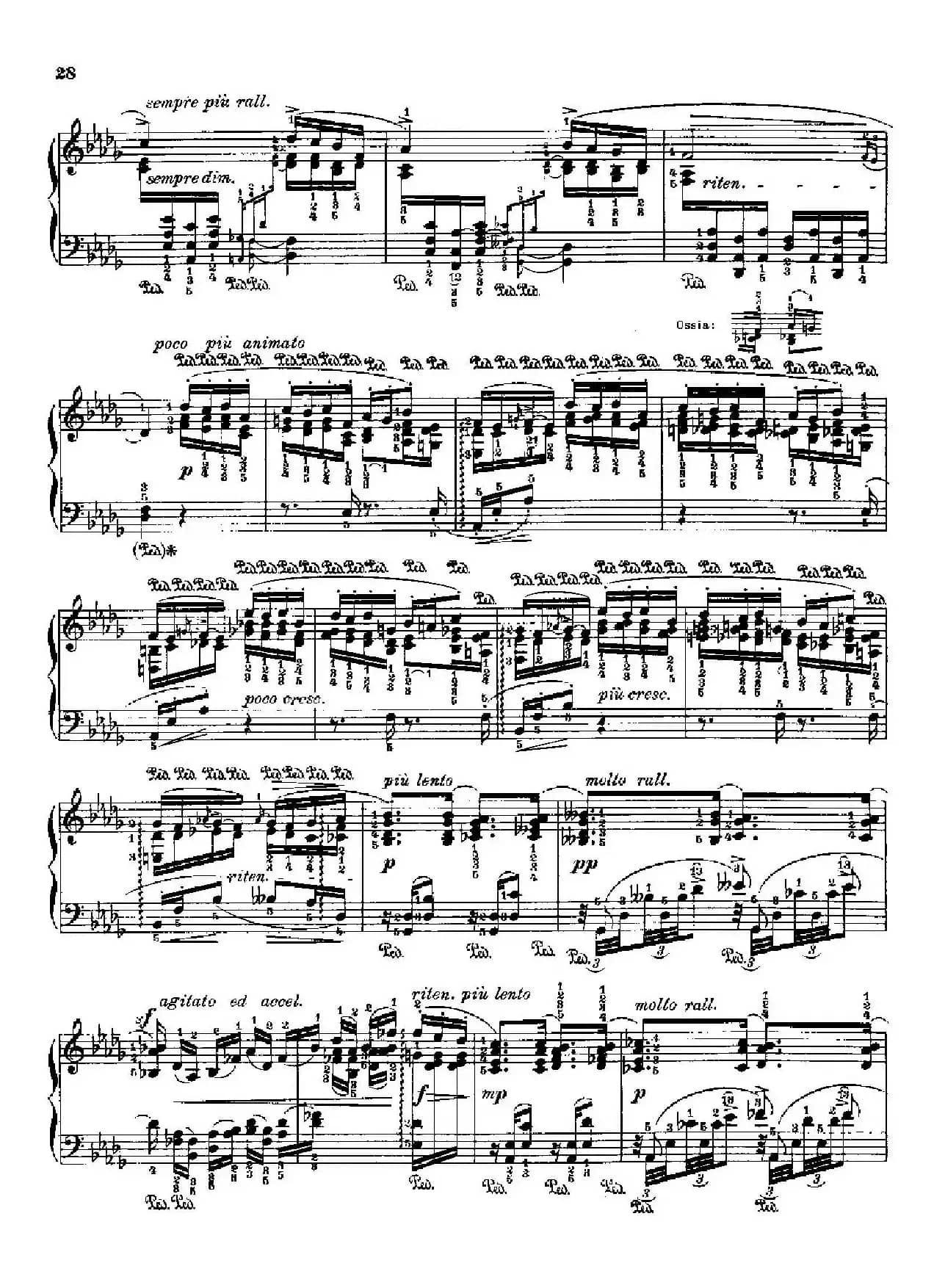 53首改编练习曲（No.5）