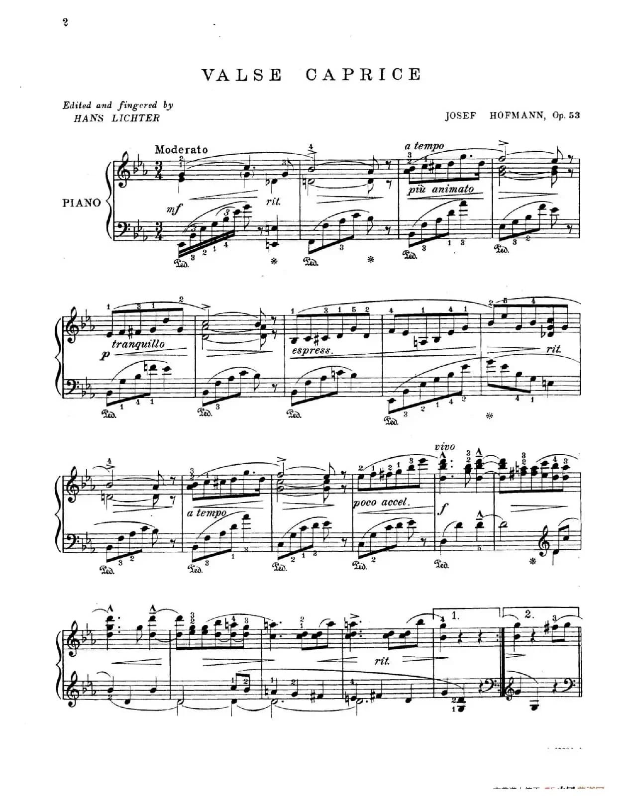 Valse Caprice in E-flat Major Op.53(降E大调随想圆舞曲)