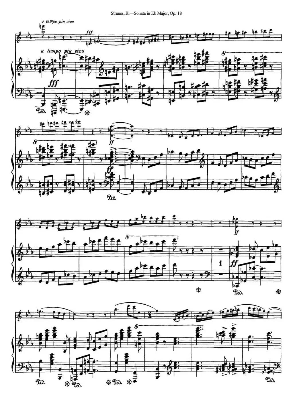 Violin Sonata in Eb Major Op.18（小提琴+钢琴伴奏）