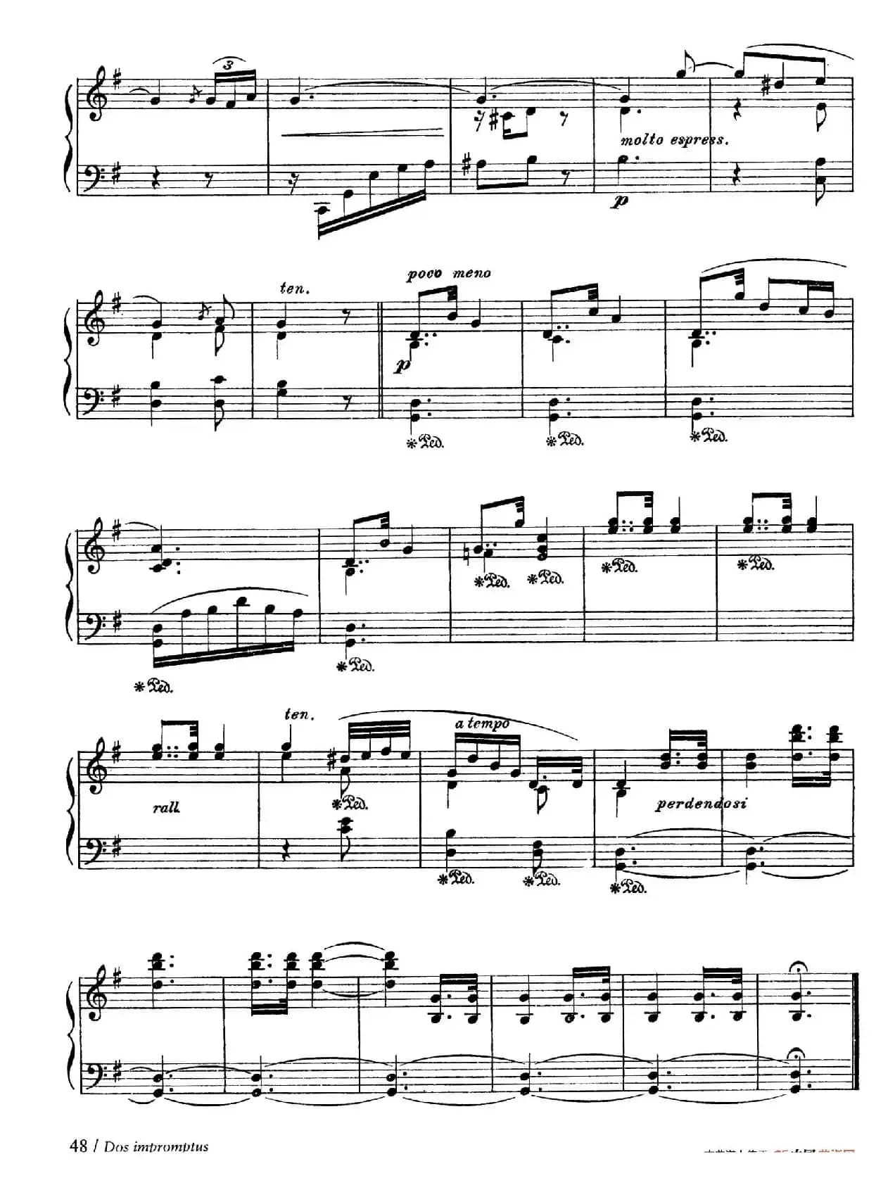 Impromptu De La Codorniz（少女即兴曲）