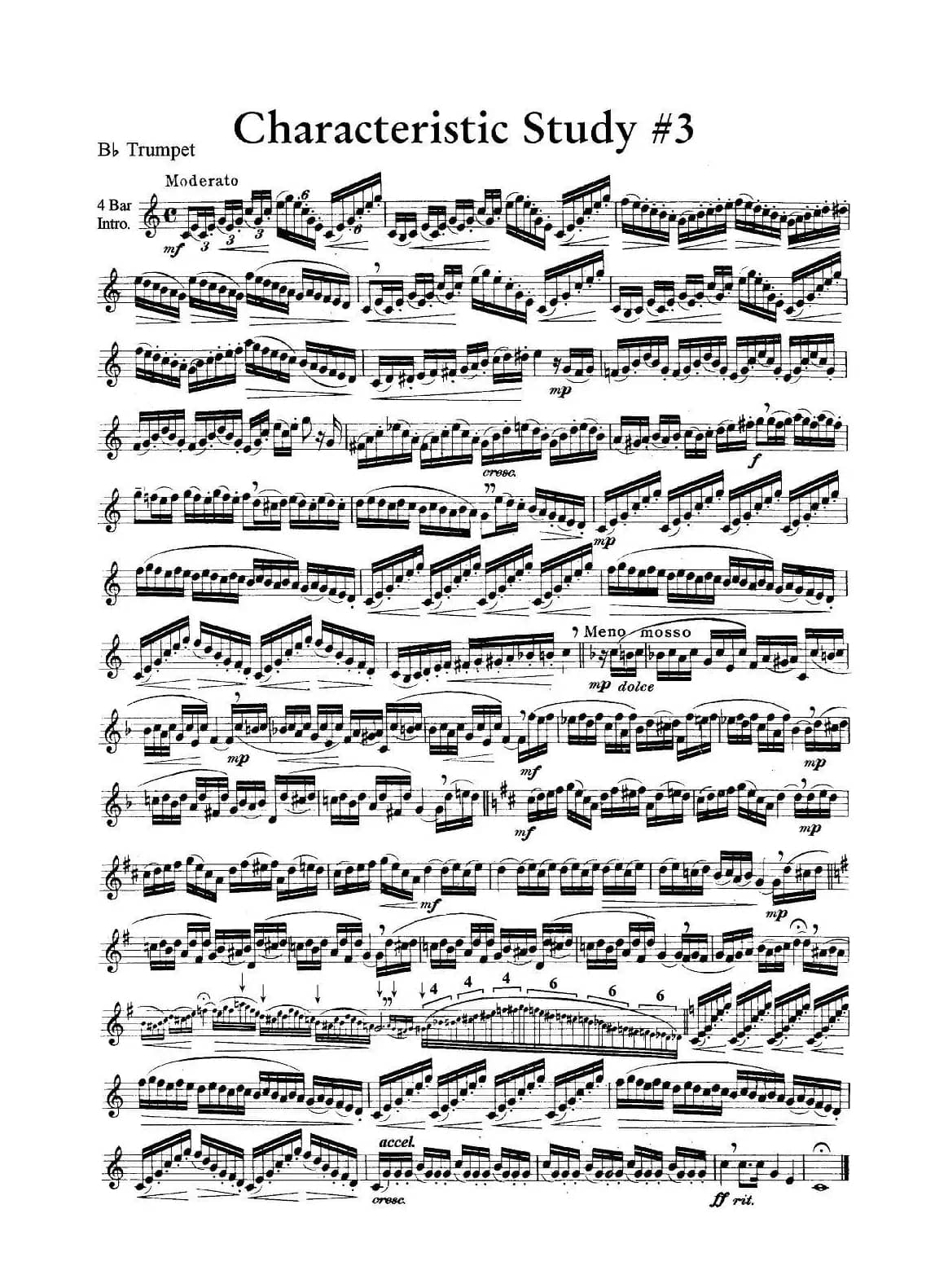 Characteristic Study #3 （小号）