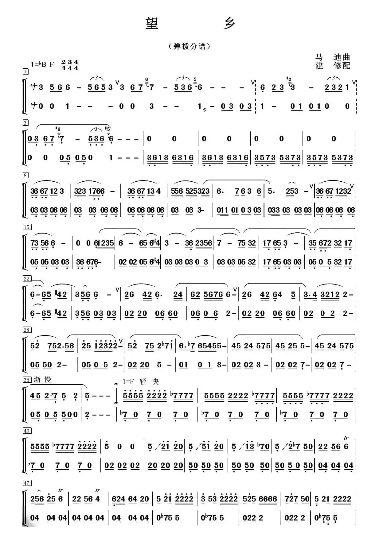 望乡（笛子独奏+乐队伴奏弹拨分谱）