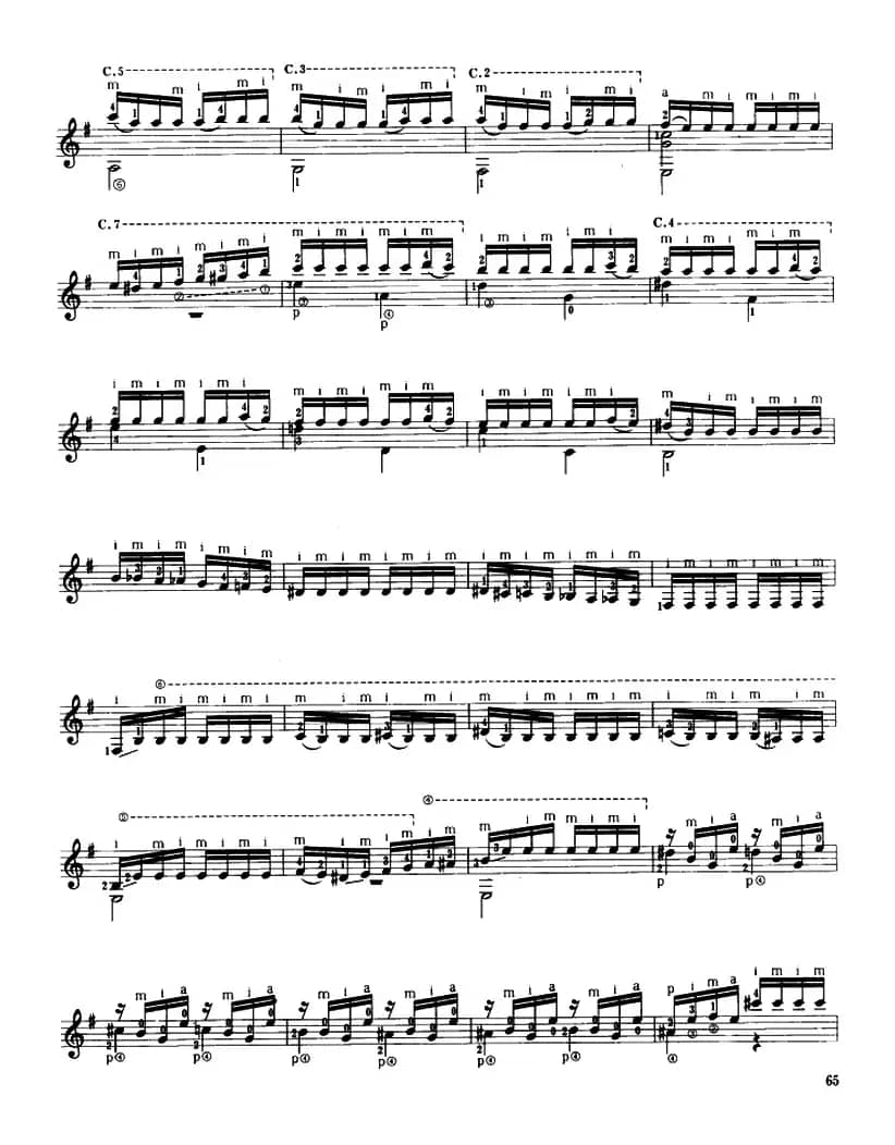 蜂鸟（古典吉他）