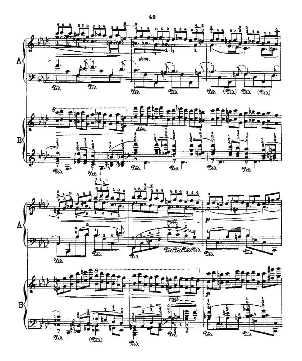 肖邦《练习曲》Fr.Chopin Op.25 No2-3