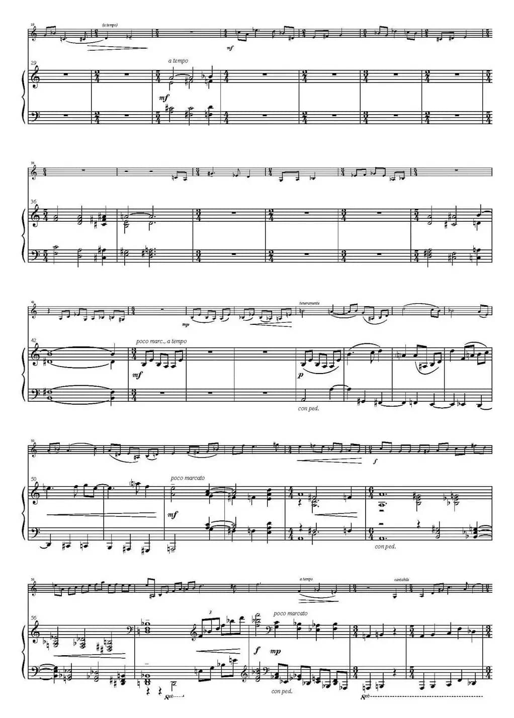 Sonata Poema aenigmaticum（小提琴+钢琴伴奏、4th movement）