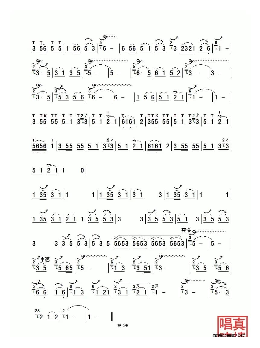 金孔雀与凤尾竹