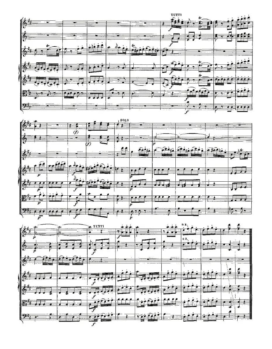 Concerto in D for Flute, K.314（D大调长笛协奏曲）