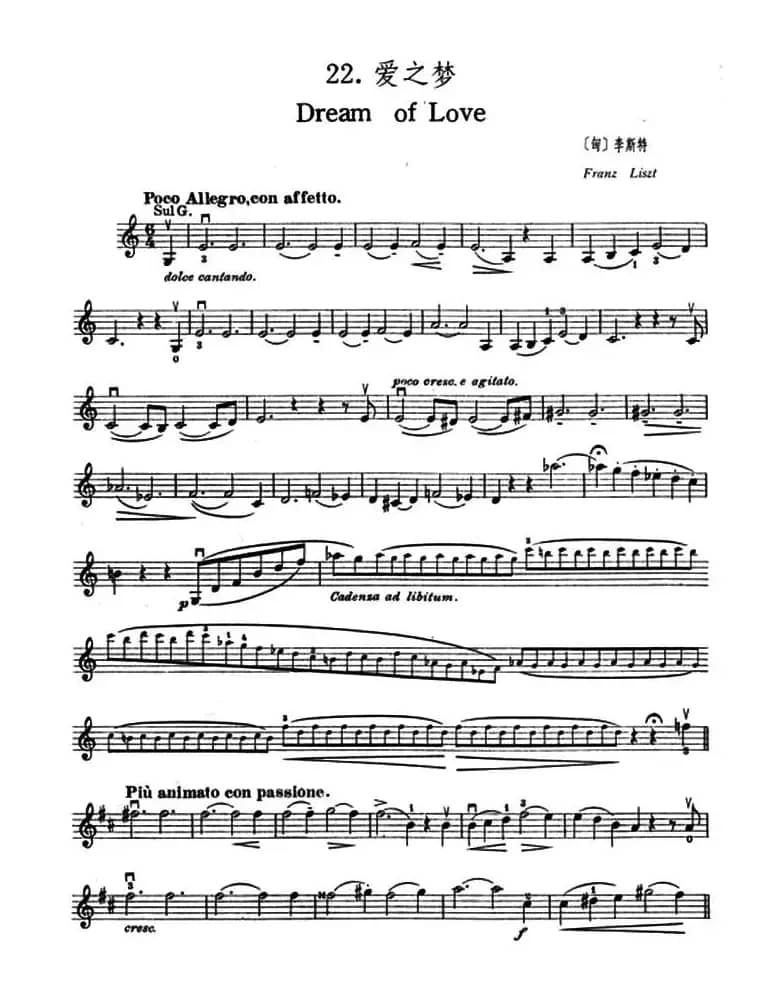 Dream of Love（爱之梦）