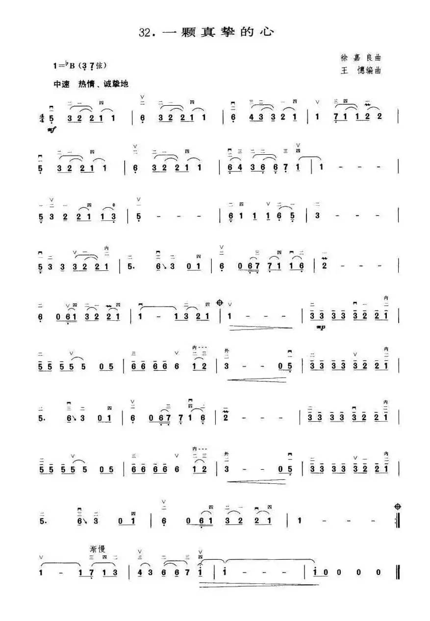 一颗真挚的心（王懳编曲）