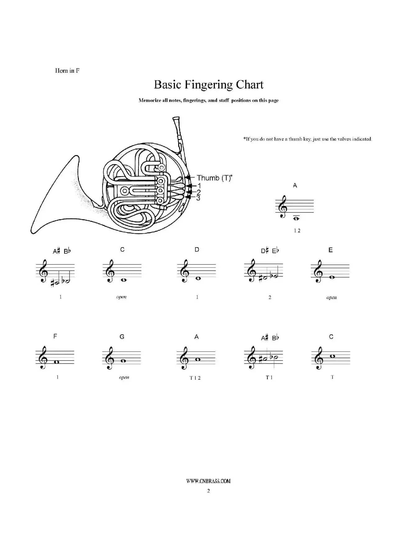F调圆号初级教程