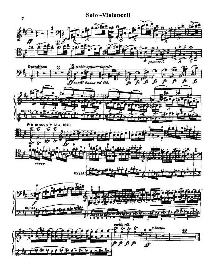 CELLO CONCERTO in B minor（大提琴）