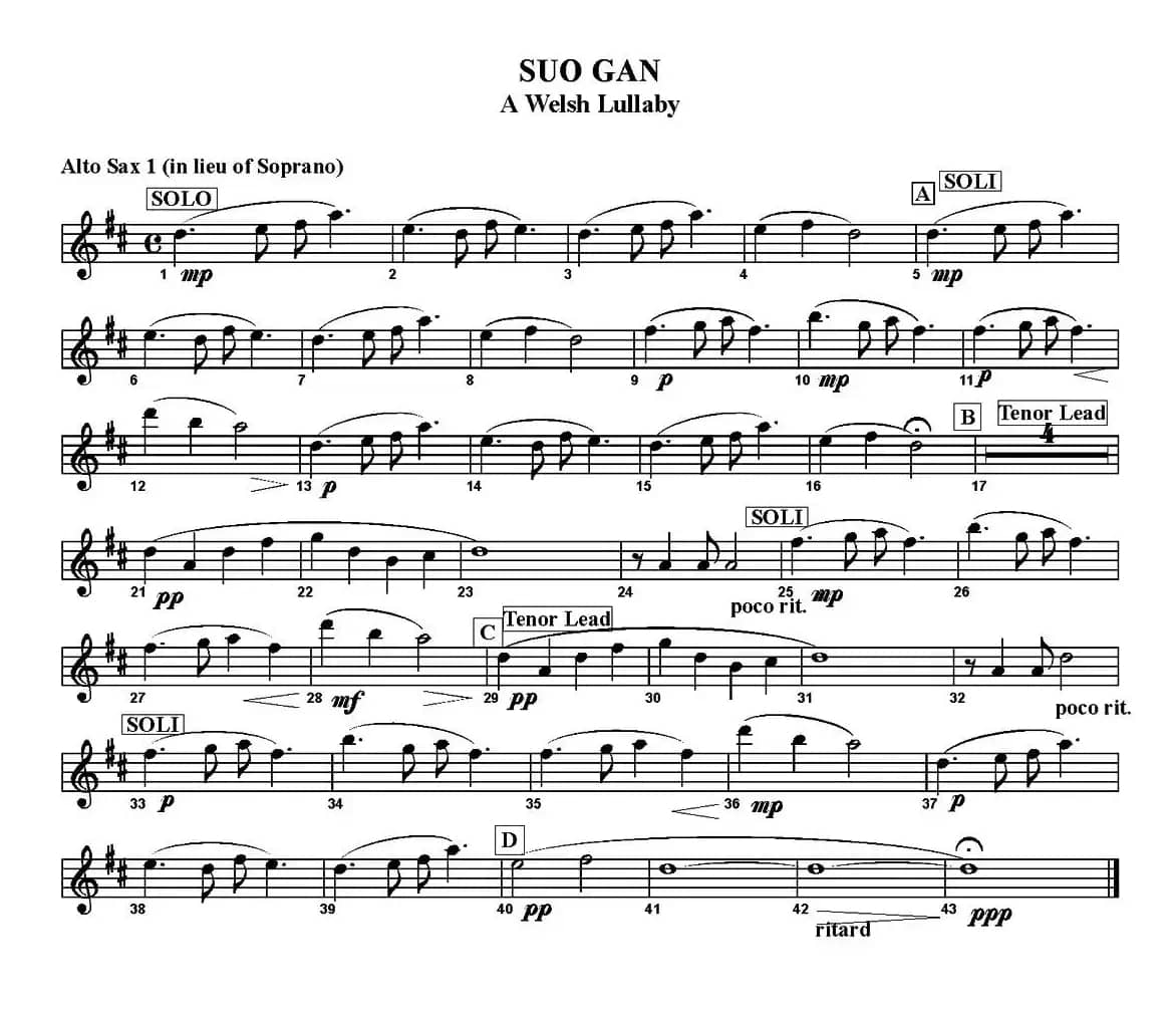 SUO GAN（五重奏）