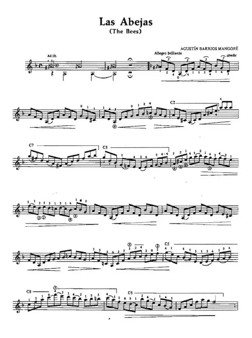 Las Abejas(古典吉他)