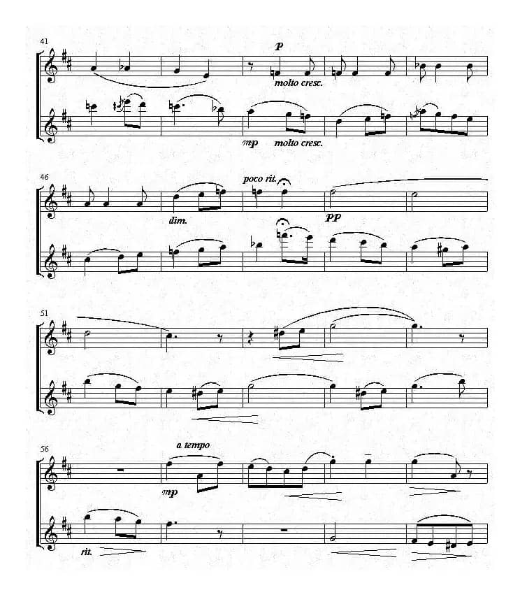 爱的致意（小提琴二重奏）