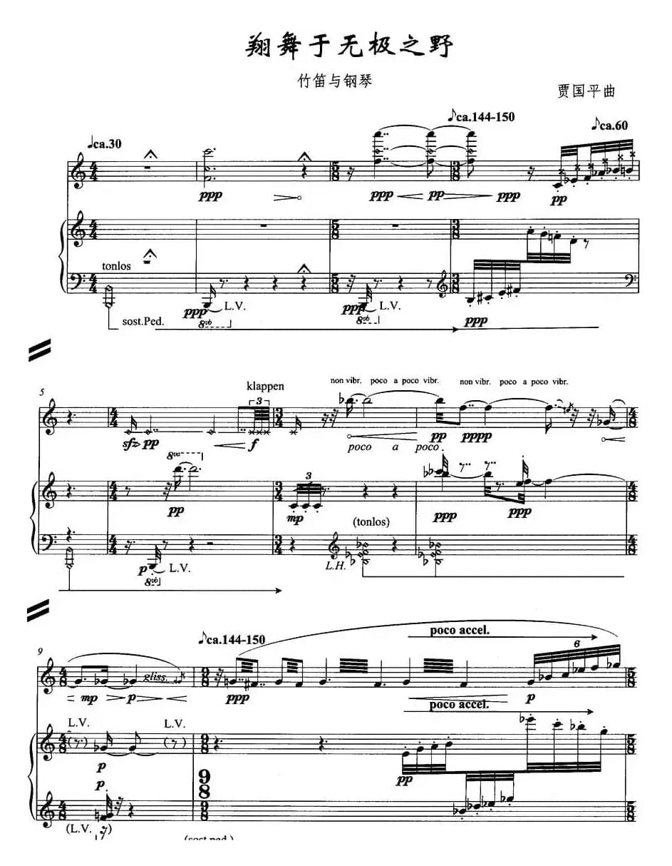 翔舞于无极之野（竹笛+钢琴）
