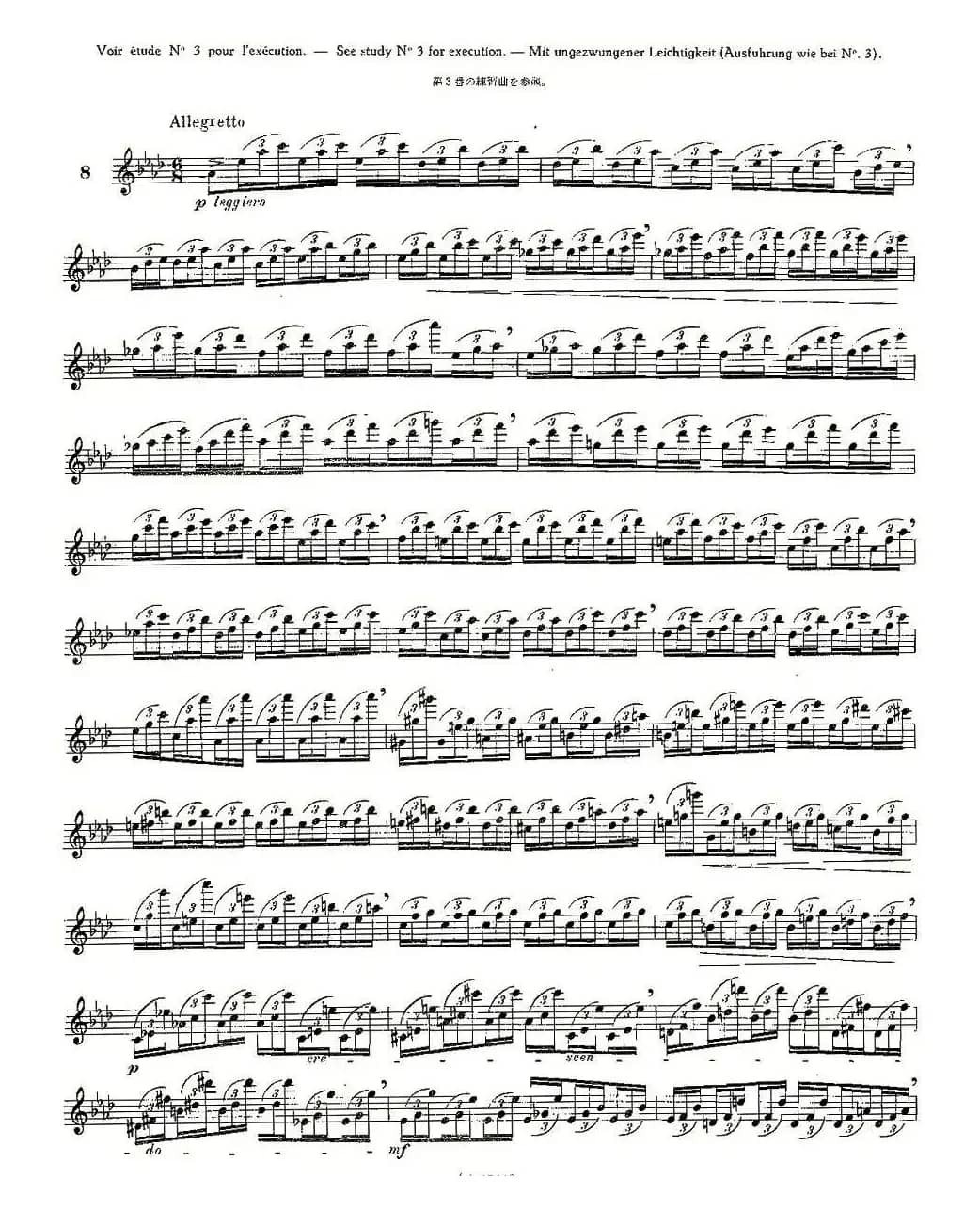 12首大技巧练习曲之8