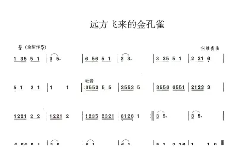 远方飞来的金孔雀