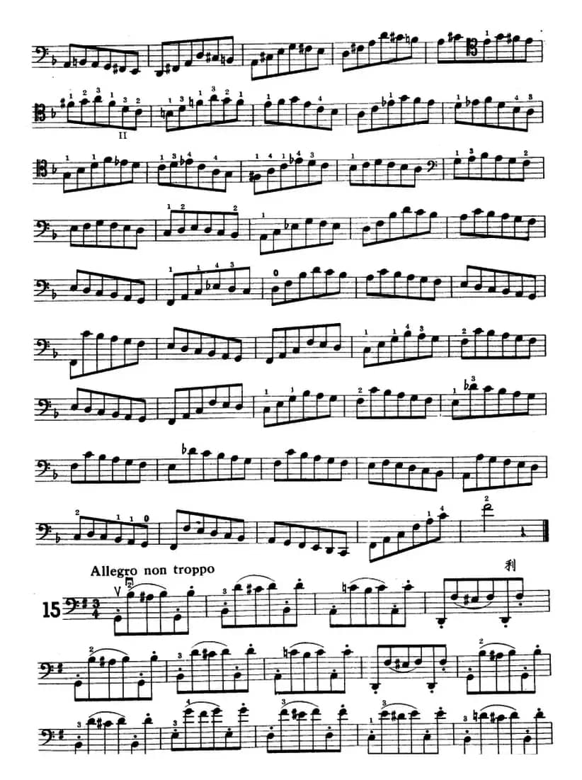 鲍斯特列姆大提琴练习曲（14-15）