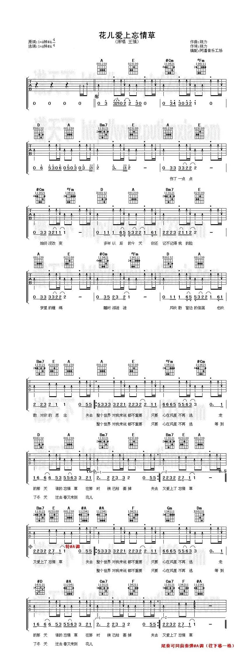 花儿爱上忘情草