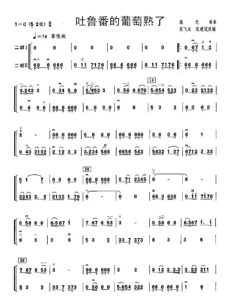 吐鲁番的葡萄熟了（二胡二重奏）