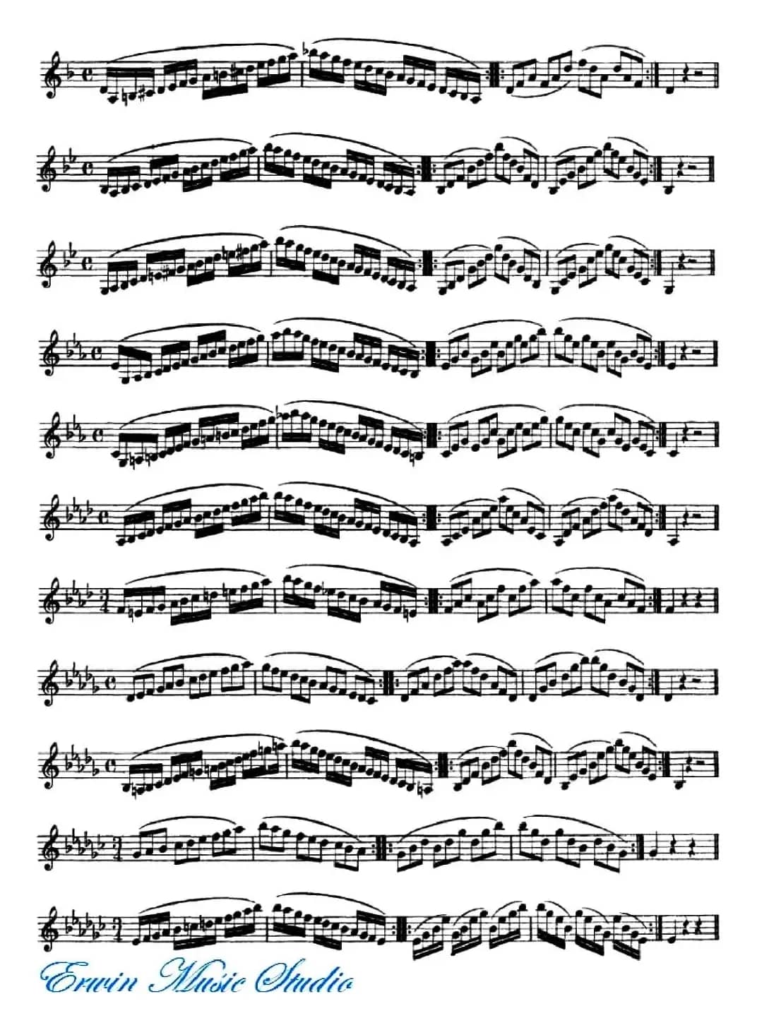 赫利美利《小提琴音阶练习》（Hrimaly《Scale Studies》）