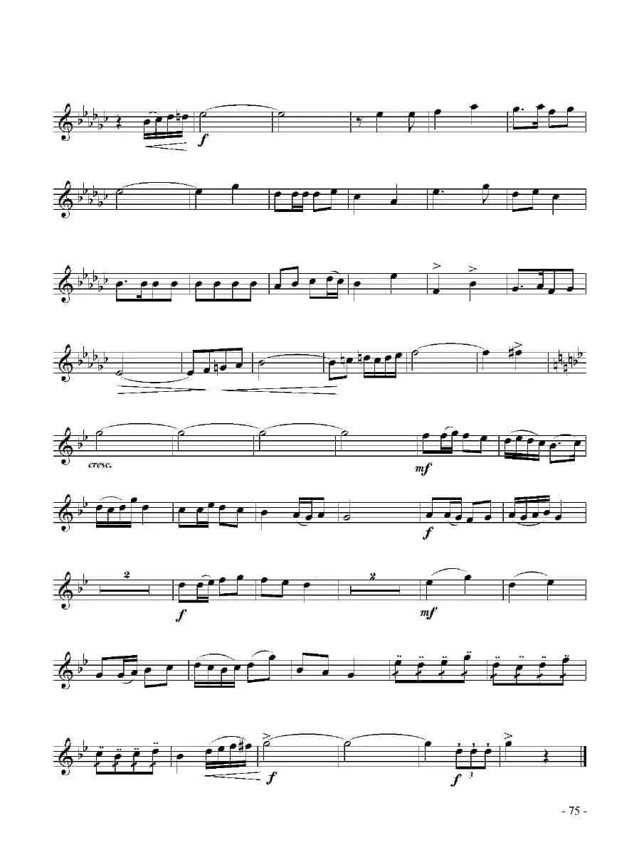 快乐的年轻人（小号）