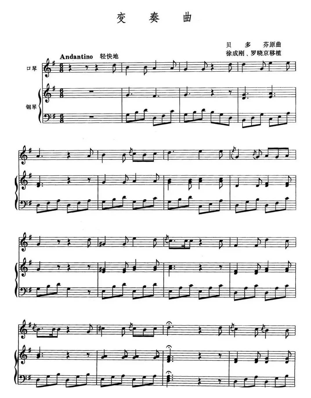 变奏曲（徐成刚 罗晓京移植）