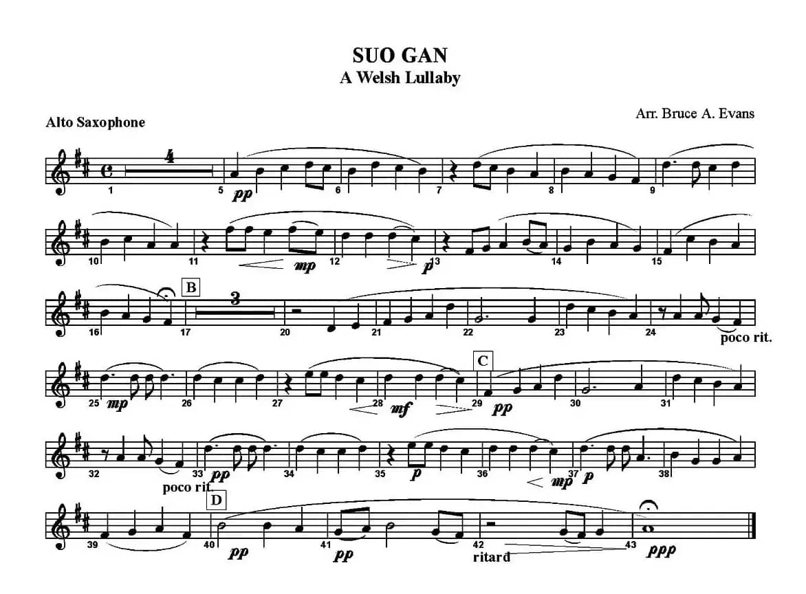 SUO GAN（五重奏）