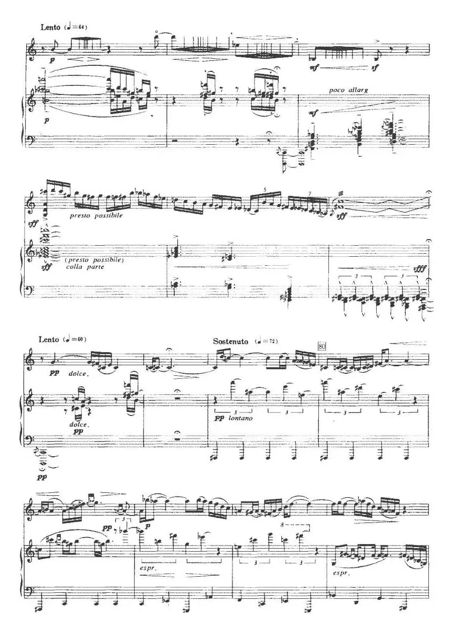 路（小提琴+钢琴伴奏）