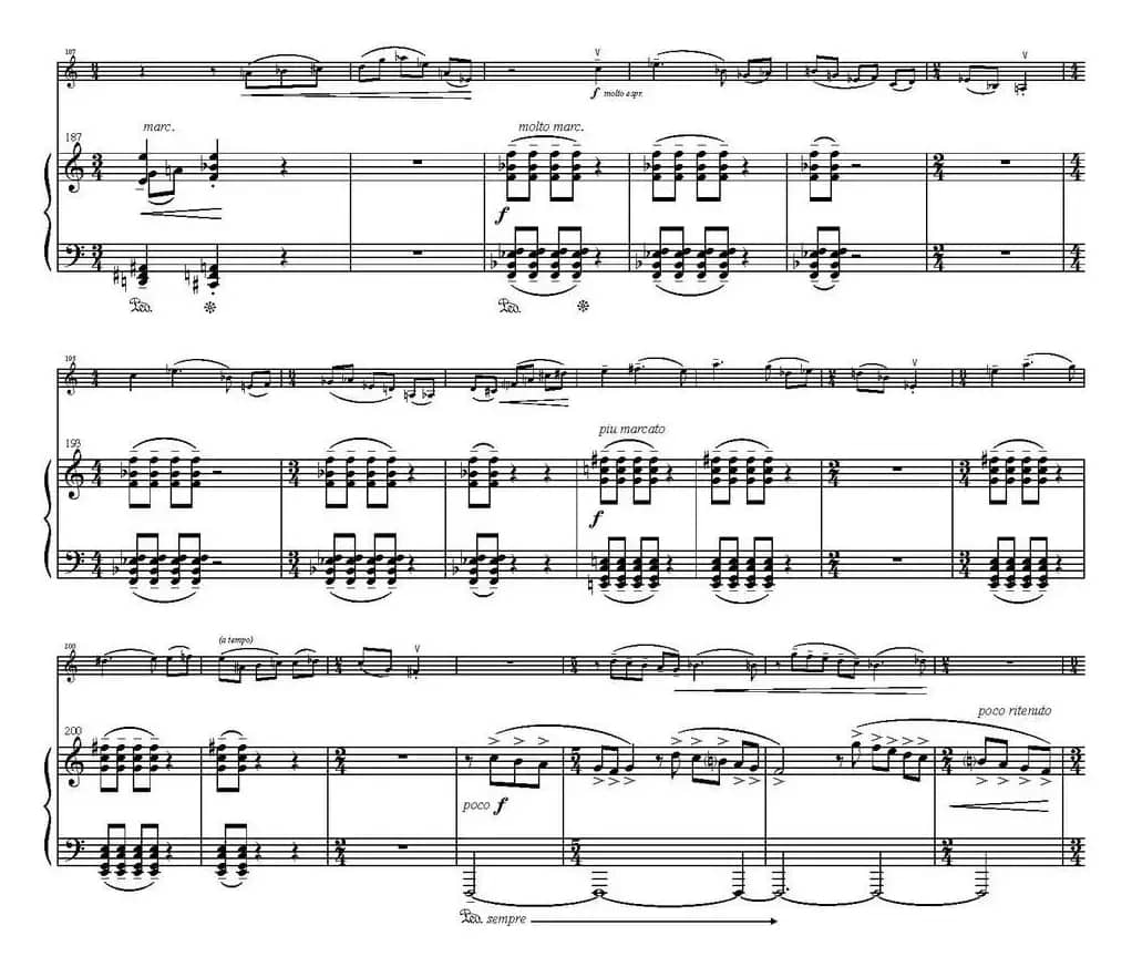 Sonata Poema aenigmaticum（小提琴+钢琴伴奏、4th movement）