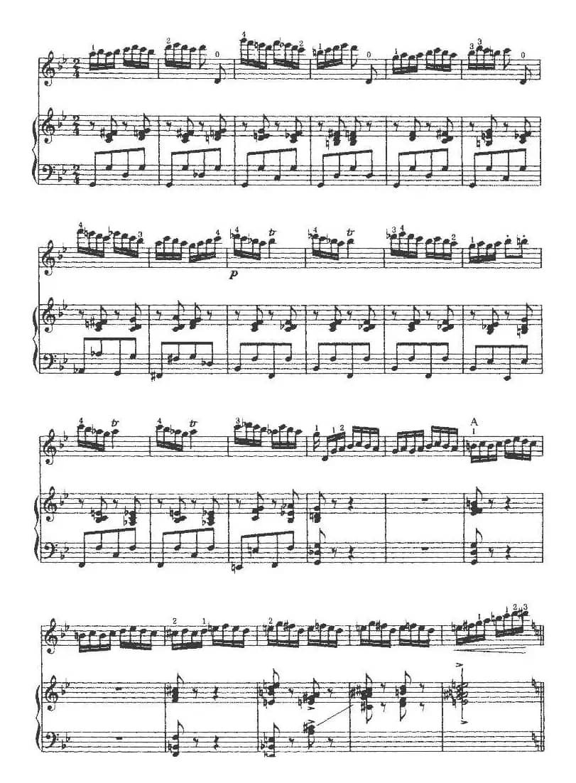 第三二胡狂想曲（二胡+钢琴伴奏）