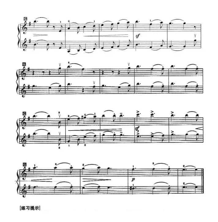 沃尔塔瓦河（重奏）