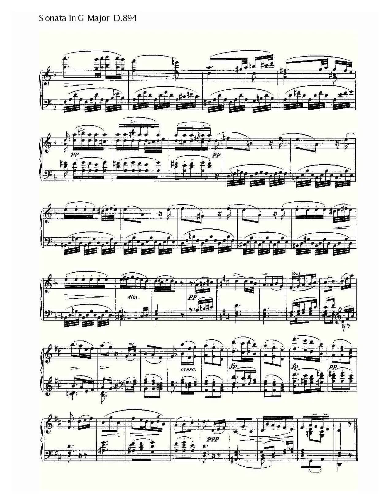 Sonata in G Major D.894（G大调奏鸣曲 D.894）