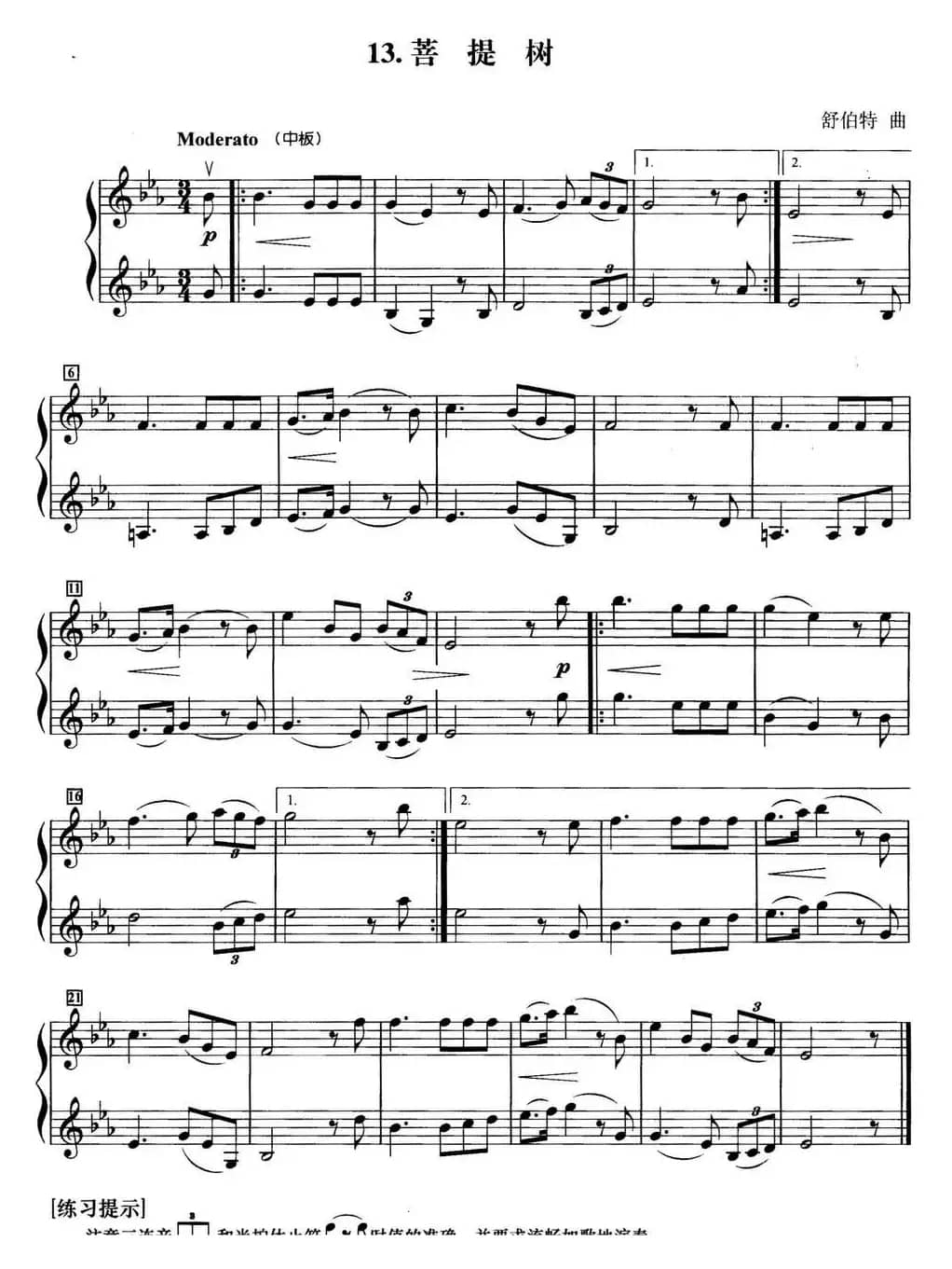 初级小提琴二重奏：菩提树