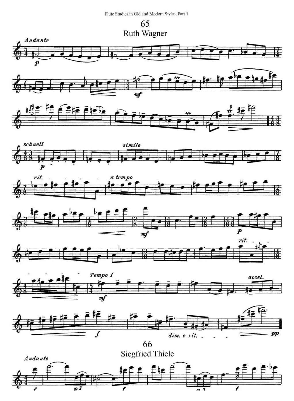 斯勒新老风格长笛练习重奏曲（第一部分）（NO.65-NO.67）