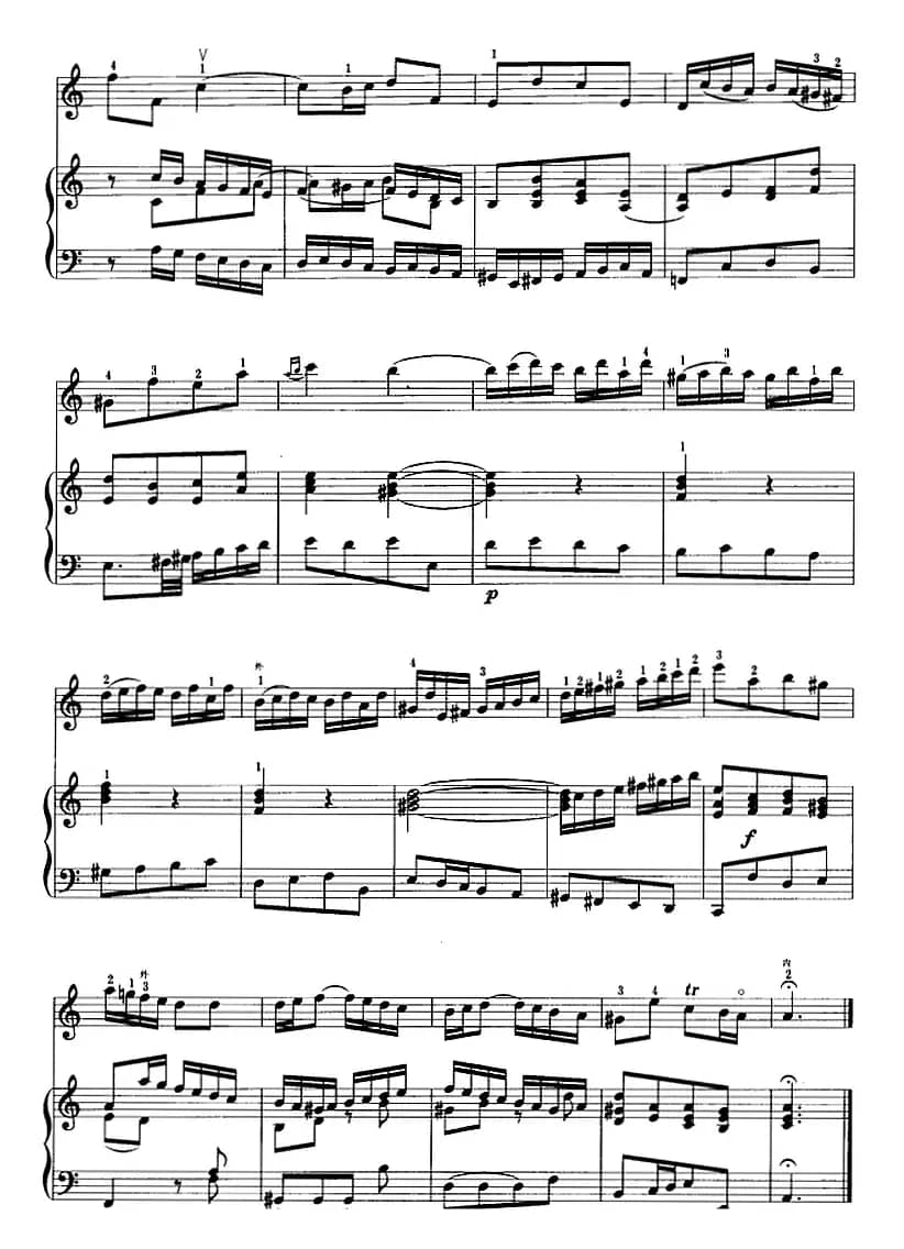 a小调协奏曲 第一乐章（二胡+钢琴伴奏）