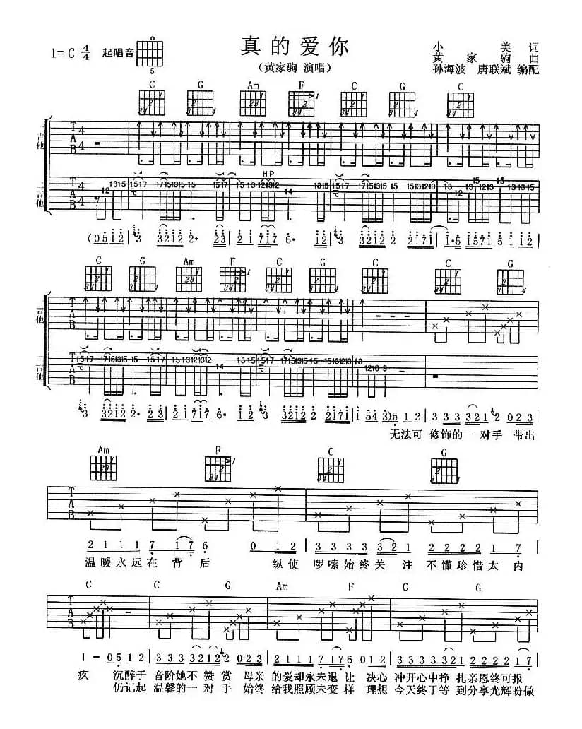 真的爱你（双吉他）