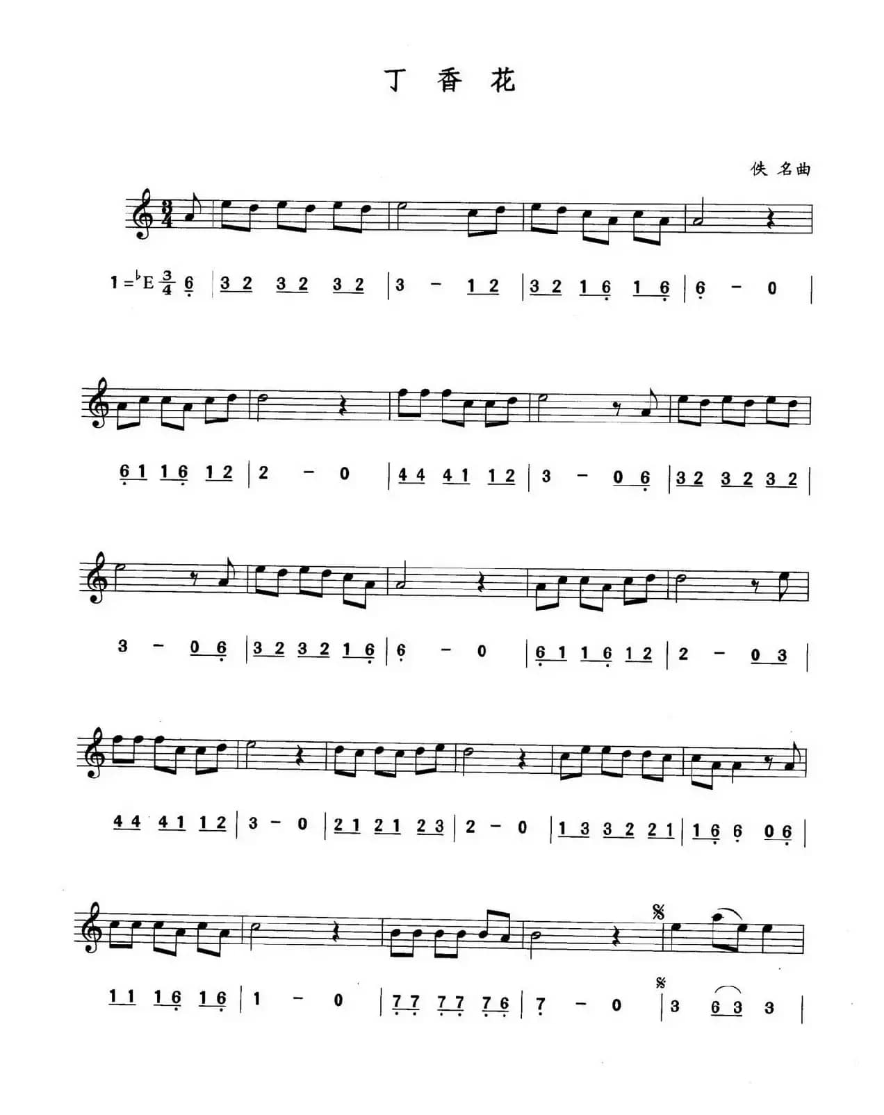 丁香花（线简谱对照版）