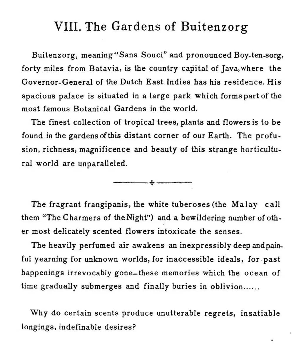 Java Suiten（爪哇组曲Ⅷ）